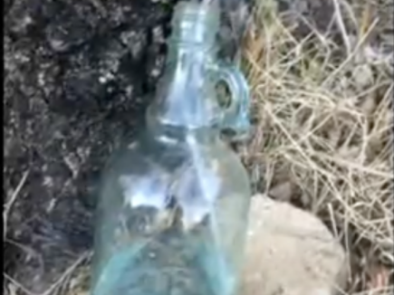 DIETETIQUE, La sève  de bouleau