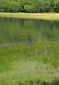 JOURNEES EUROPEENNES DU PATRIMOINE