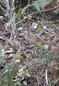 NETTOYAGE DE DECHARGE SAUVAGE