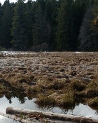 TOUR DE PISTE AU MONT-BAR