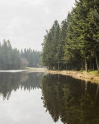 SUR LES TRACES DU SERPENT D’OR