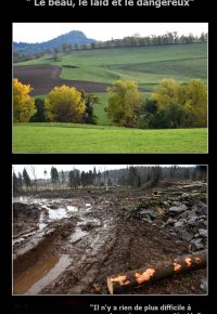 Exposition Photo :Le beau, le laid et le dangereux