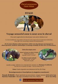 Stage: Voyage coeur à coeur avec le cheval