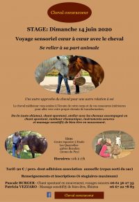 Stage: Voyage coeur à coeur avec le cheval