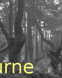 LA PINATELLE DU ZOUAVE AUX LAMPIONS