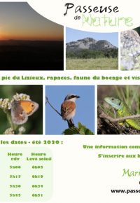 Balade découverte nature : lever de soleil au pic du Lizieux