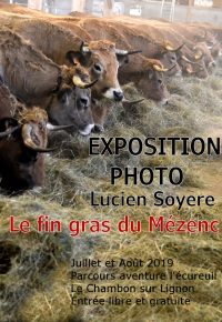 affiche___8001