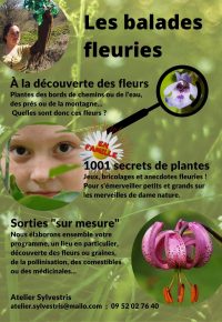 Les balades fleuries