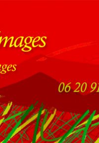 Stages d’ ÉCRITURE CRÉATIVE