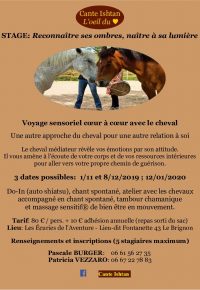 stage « reconnaître ses ombres, naître à sa lumière »