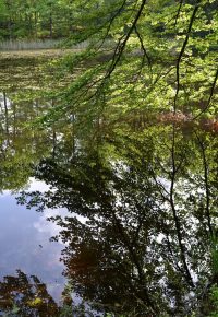 Balade faune et flore