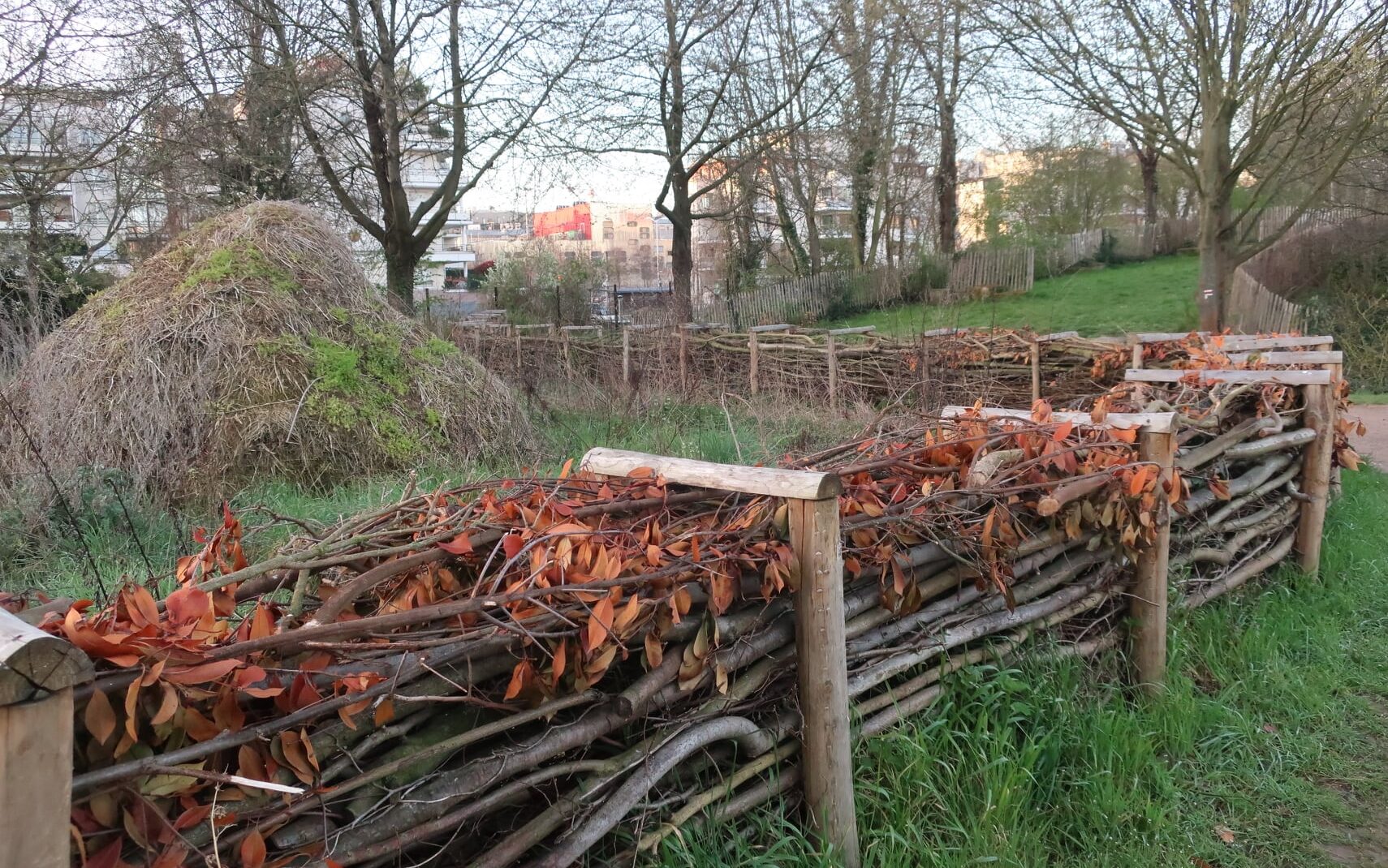 exemples de haie seche