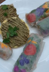 Week-end ceuillette et cuisine /Bien être