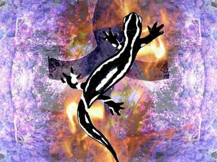 HOROSCOPE DES HARMONIQUES HIVER 2019