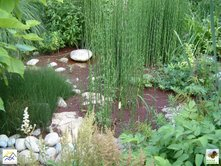 l’étang de baignade