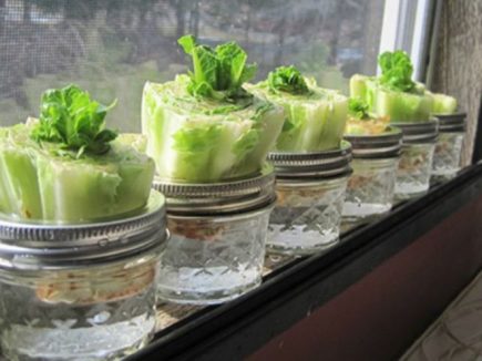 ANTI GASPI : légumes et fruits se recyclent aussi !