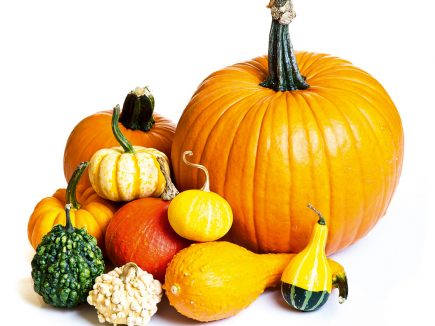 Voyage culinaire au moyen-âge / 1 – Les cucurbitacées