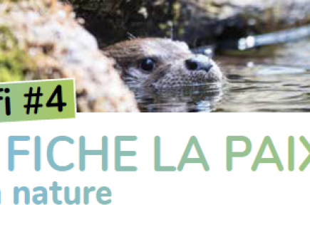 Énergie positive DEFI #4 : Je fiche la paix à la nature