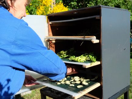 LE DESHYDRATEUR SOLAIRE par Tcharf