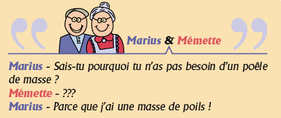 Le bois, une énergie locale