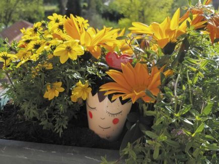 ENTRE EAU ET TERRE, L’OYA ventre nourricier pour irriguer nos plantes