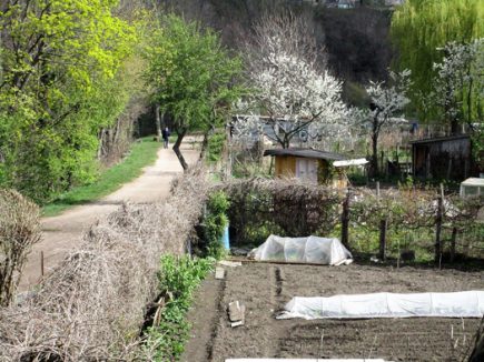 Les jardins et jardiniers de la Borne