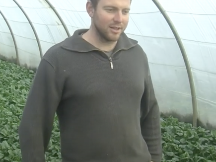 Alimentation : Jeune Loire en mode projet