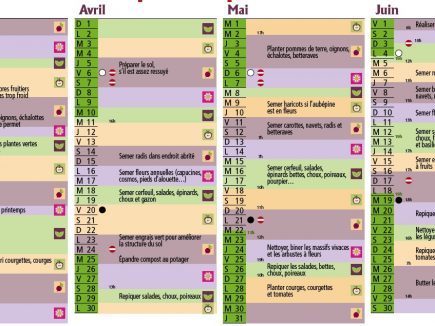Calendrier lunaire du printemps 2012