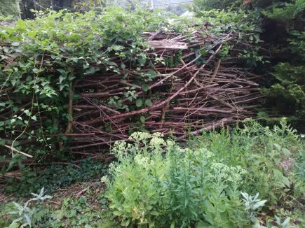 construire sa HAIE SECHE