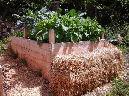AU JARDIN  Un jardin de permaculture à Blanlhac