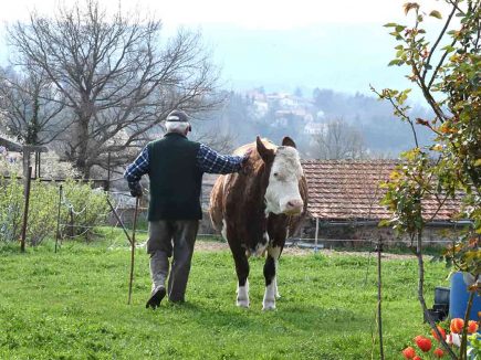 ROSEE, UNE VIEILLESSE HEUREUSE
