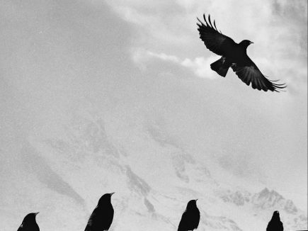 LE POUVOIR DE CHANGER