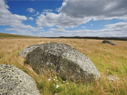 Nous y sommes… Edito N°29