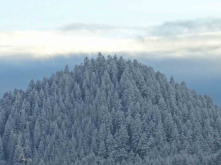 Dilemme – Edito N47 hiver 2019