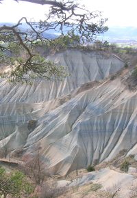 Balade botanique les fruits