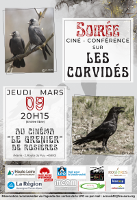 Ciné-conférence 9 mars, à la découverte des corbeaux, corneilles et autres corvidés