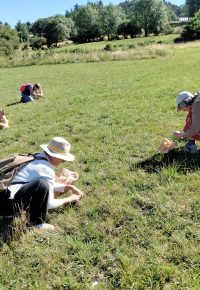 Journée « cueillette et cuisine »