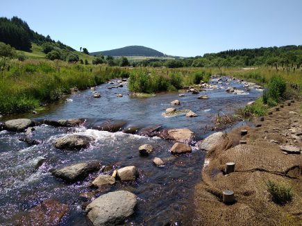 Balade en bord de rivière, le Lignon en Velay