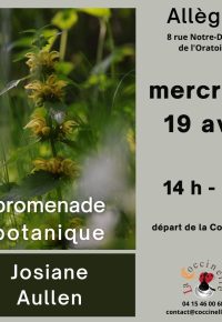 Allègre • Promenade botanique