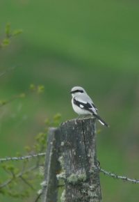 « De ferme en ferme » Ferme ouverte à la ferme de Belna