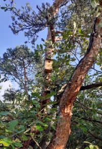 Les oiseaux du jardin botanique du Mazet-Saint-Voy
