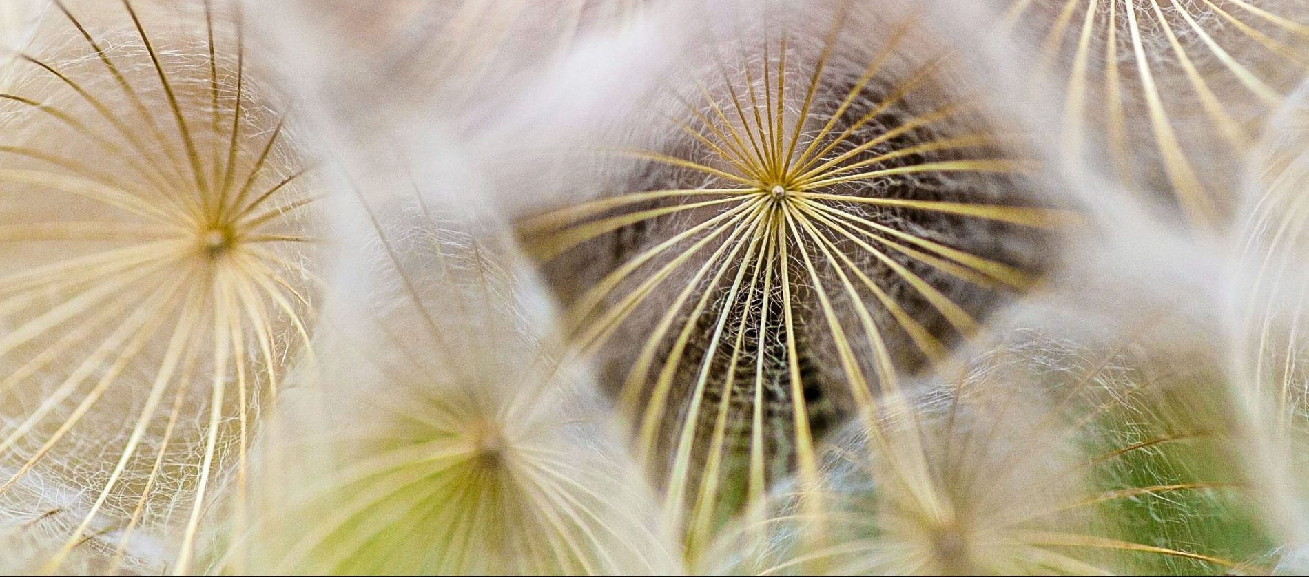 articles éco citoyen