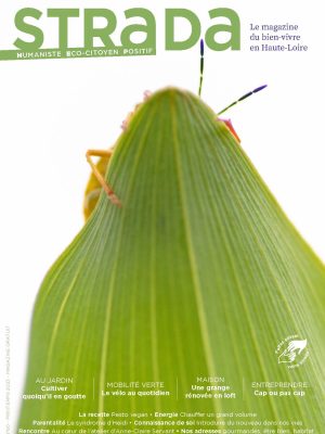 STRADA N°60 Printemps 2023