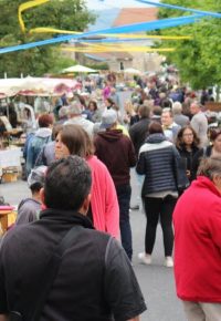 Vide Grenier