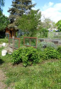 Visite guidée Jardin participatif