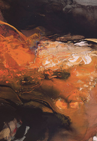 Exposition Michel Gayard