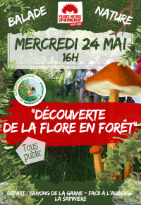 Balades en forêt !