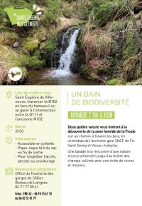 Balade entre forêt et zone humide !