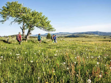 Des balades patrimoniales