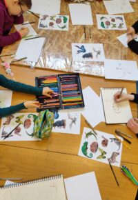 cours de DESSIN thématique : les animaux